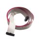 CABLE EIDER 16-PINES RP138003