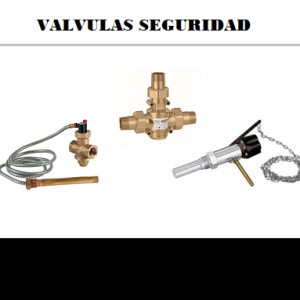 VALVULAS SEGURIDAD BIOMASA