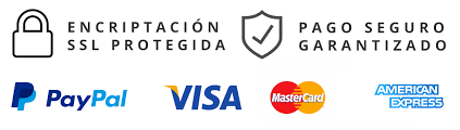 pago seguro web